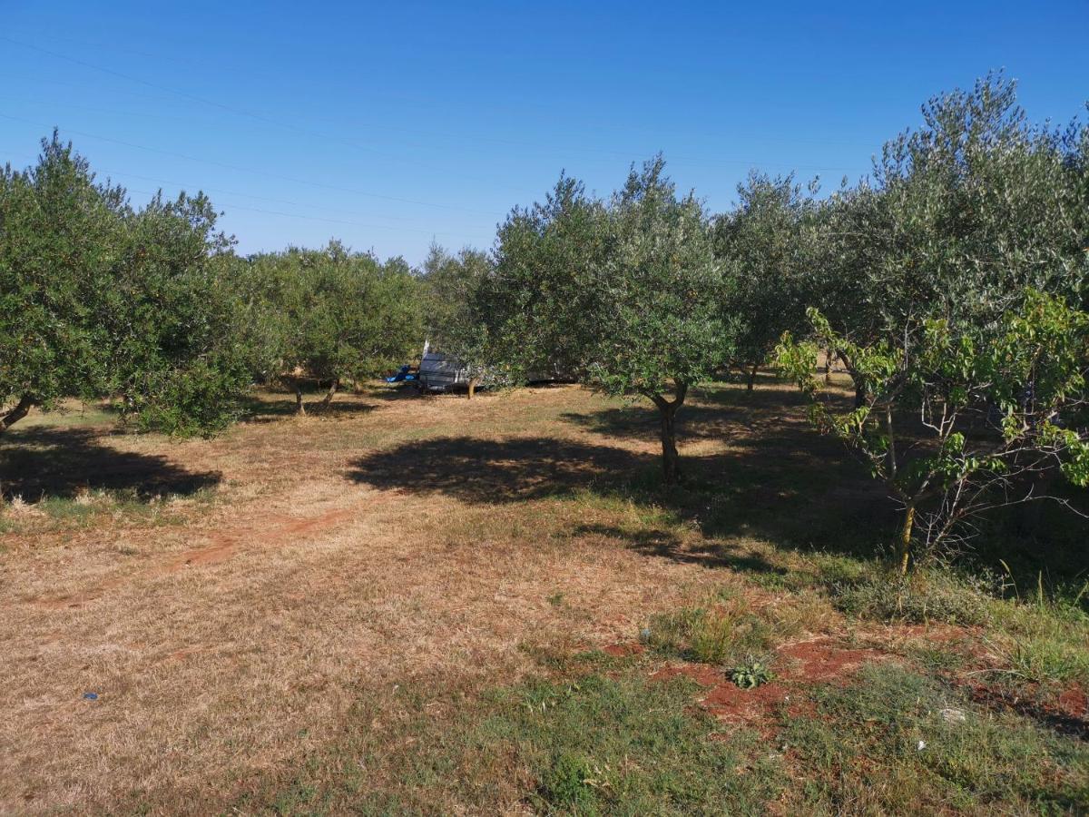 Jacuzi Cottage In The Olive Grove Pula Luaran gambar