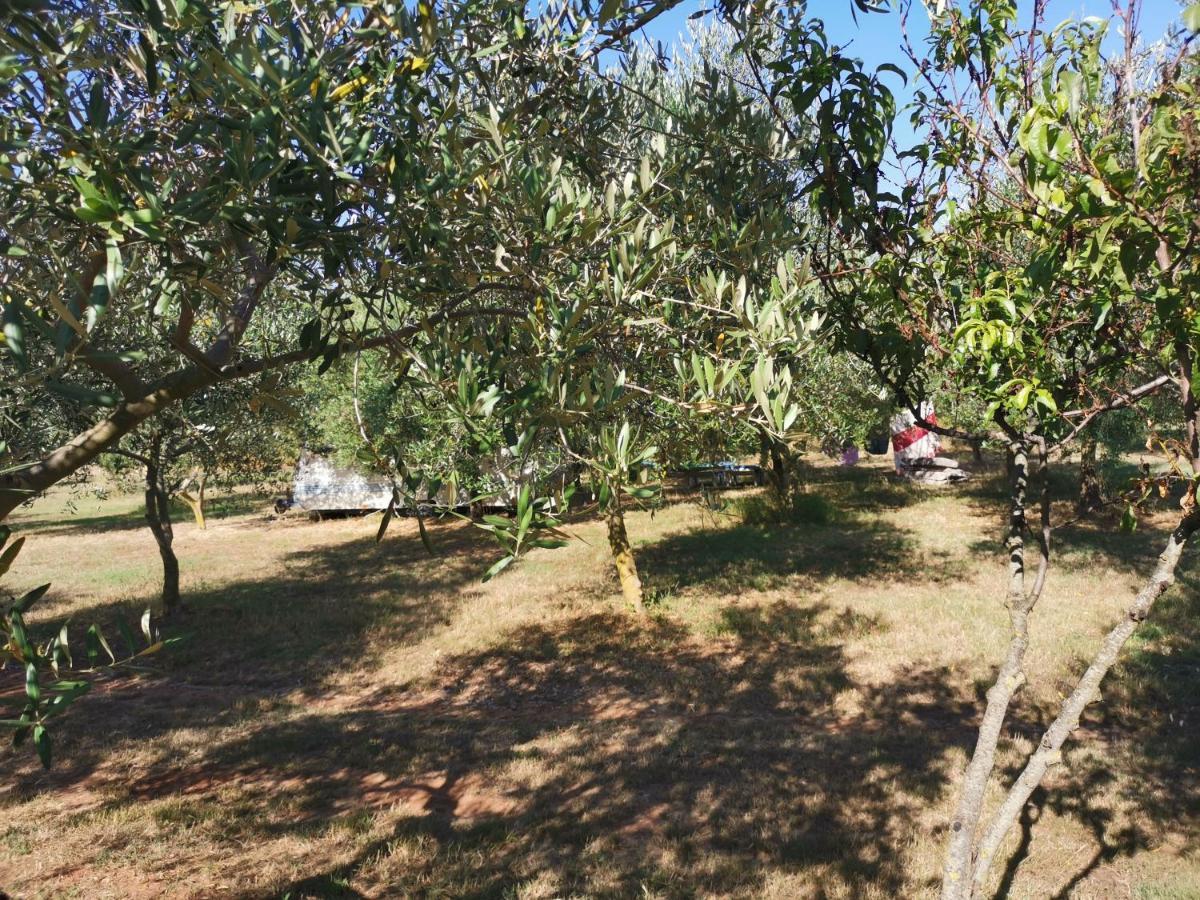 Jacuzi Cottage In The Olive Grove Pula Luaran gambar