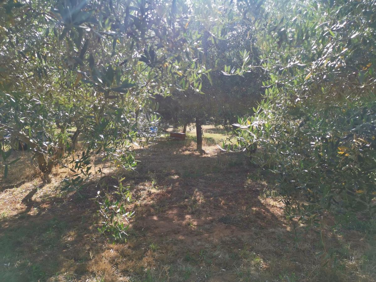 Jacuzi Cottage In The Olive Grove Pula Luaran gambar