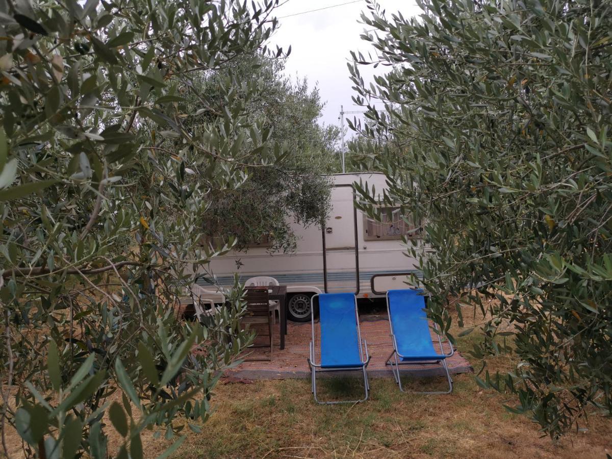 Jacuzi Cottage In The Olive Grove Pula Luaran gambar