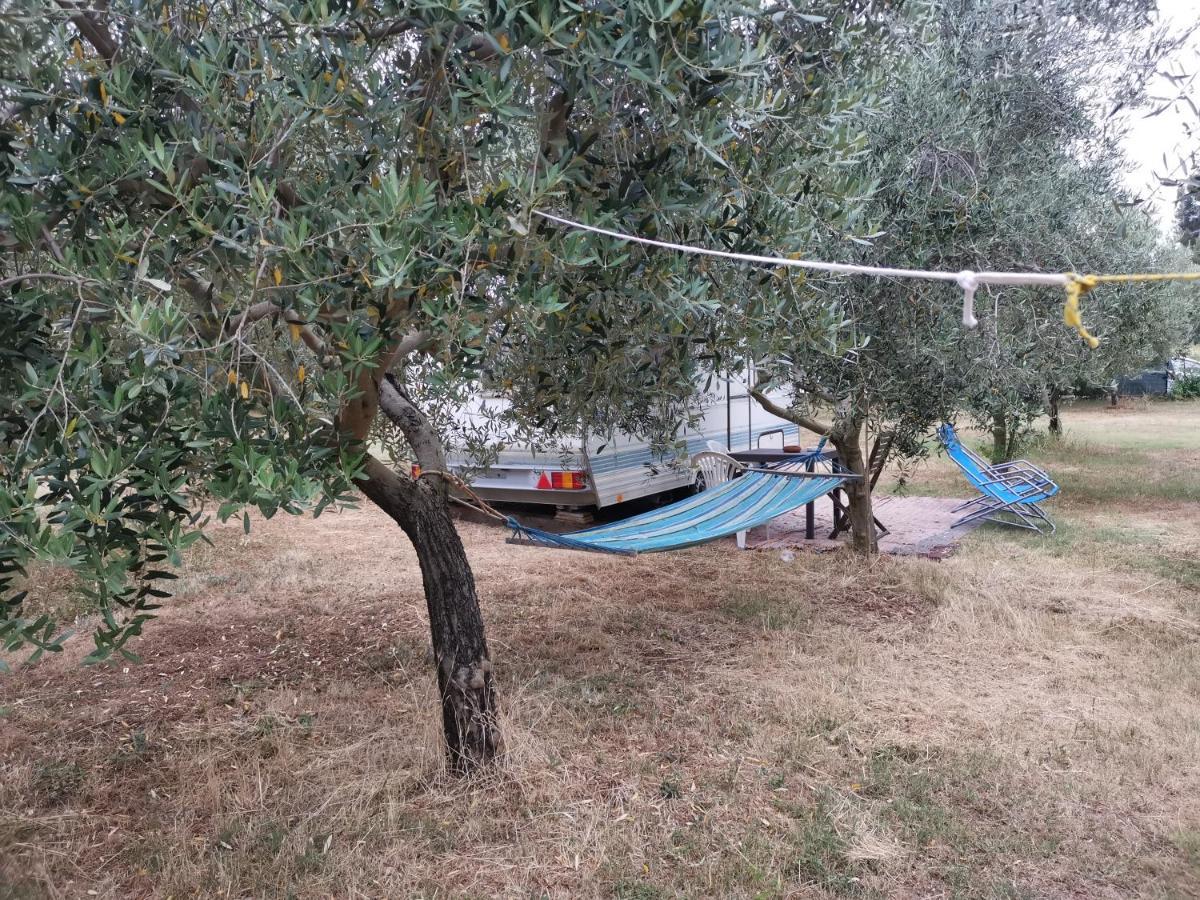 Jacuzi Cottage In The Olive Grove Pula Luaran gambar