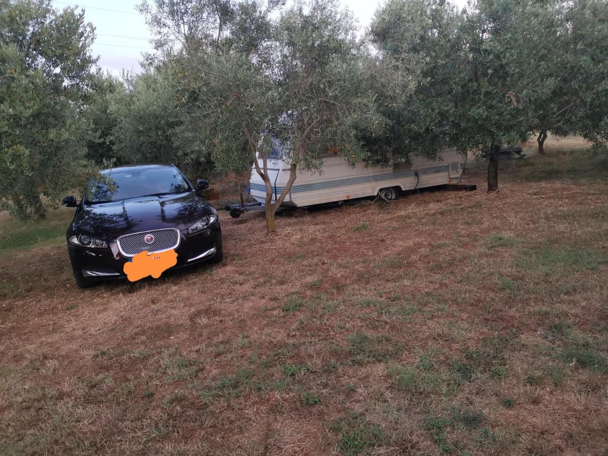 Jacuzi Cottage In The Olive Grove Pula Luaran gambar