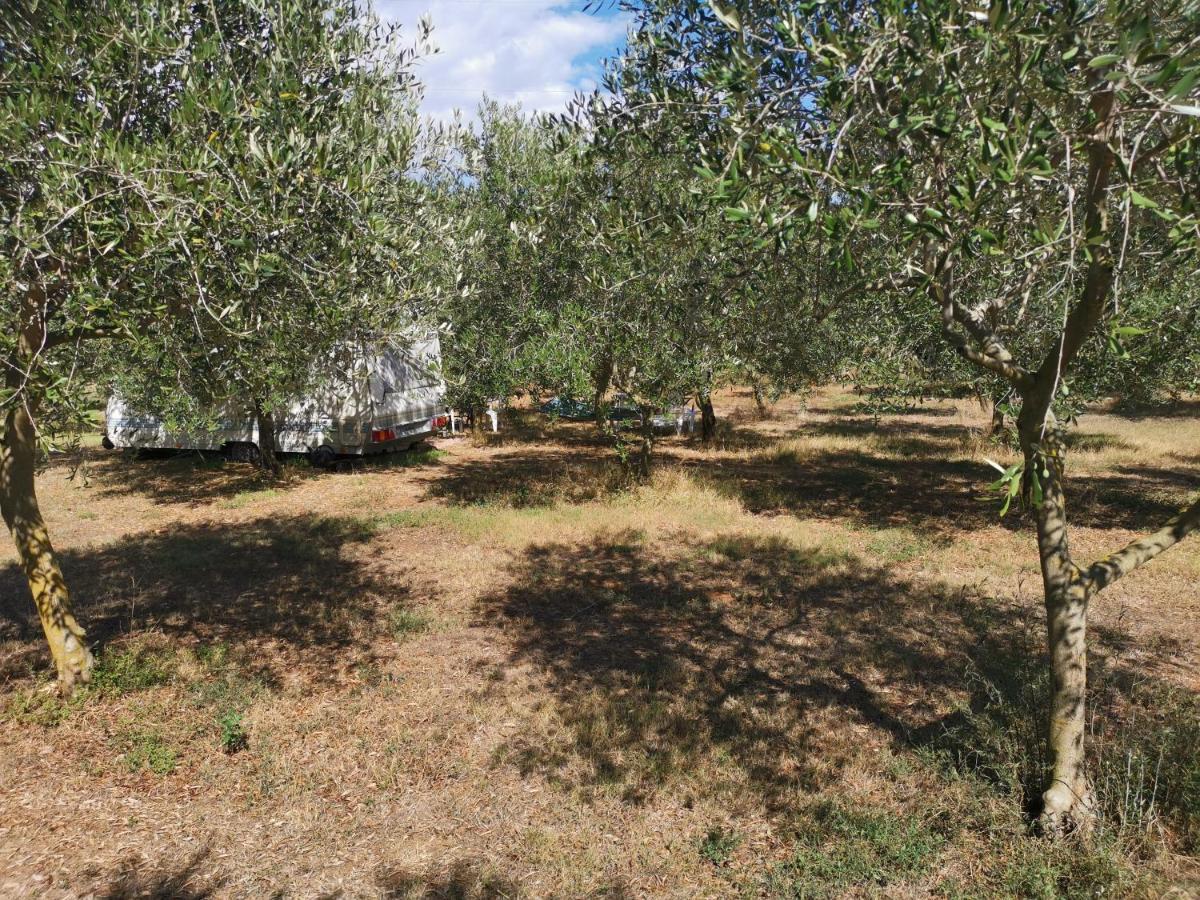 Jacuzi Cottage In The Olive Grove Pula Luaran gambar