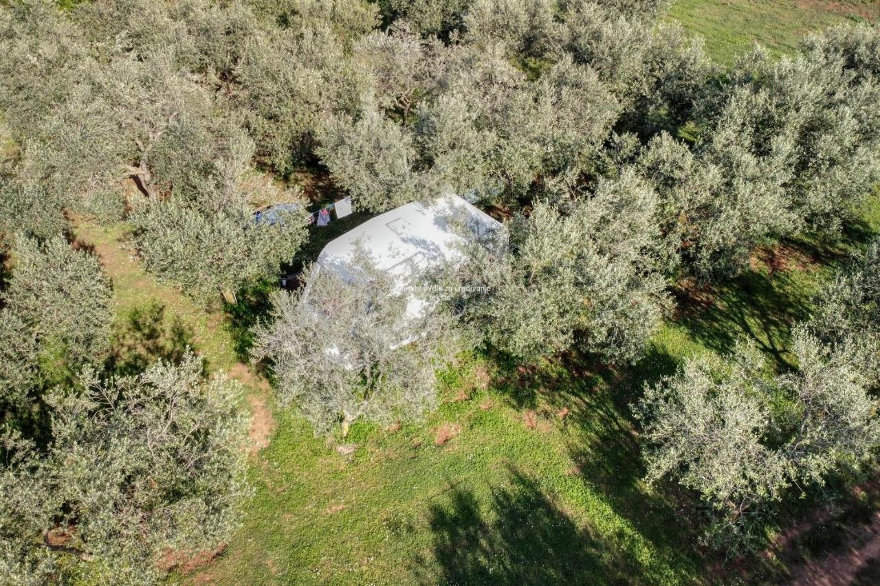 Jacuzi Cottage In The Olive Grove Pula Luaran gambar