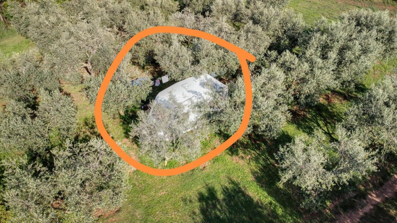 Jacuzi Cottage In The Olive Grove Pula Luaran gambar