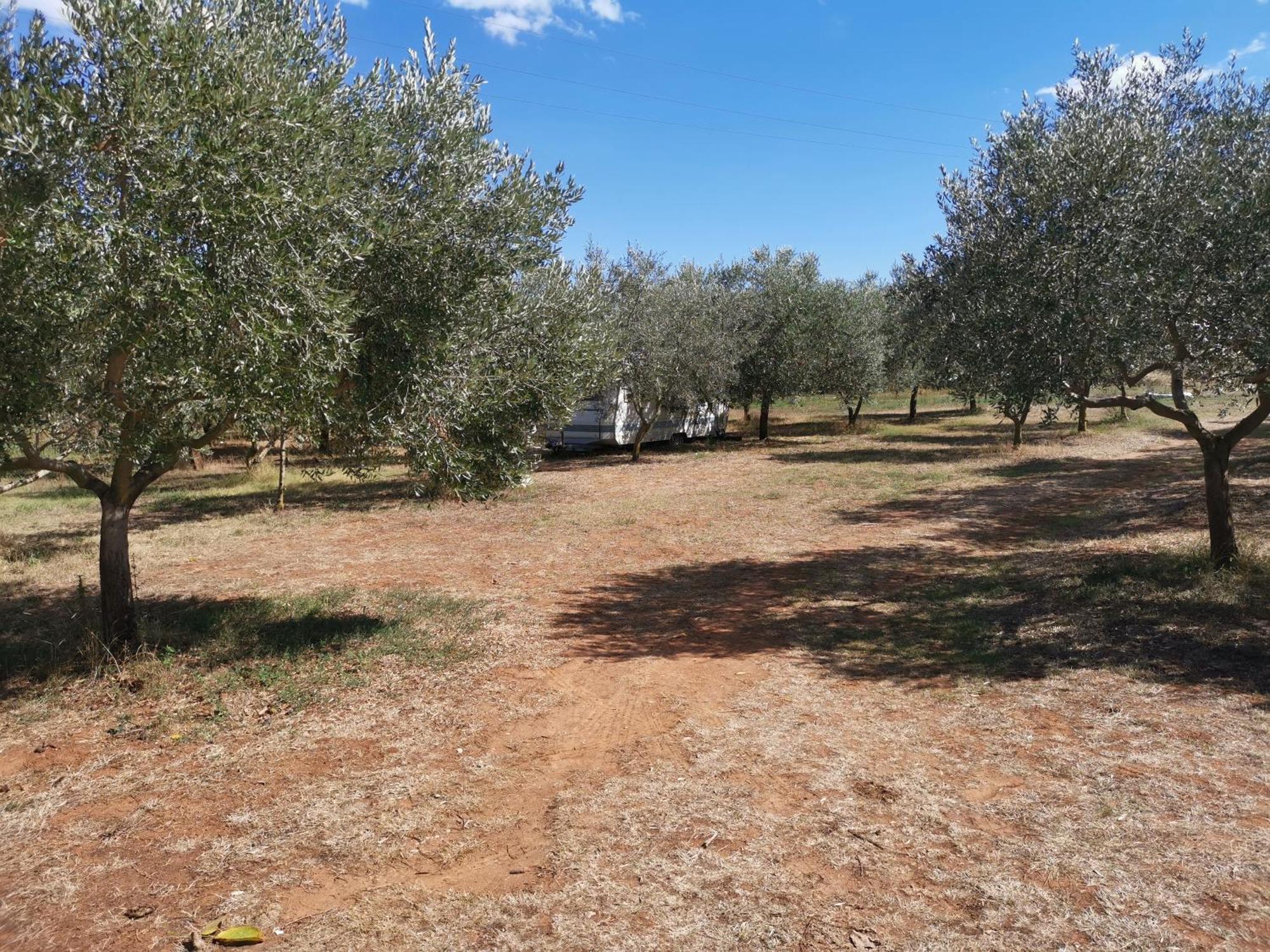 Jacuzi Cottage In The Olive Grove Pula Bilik gambar